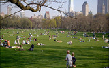 Central_park